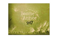 Carte de voeux en bois format A6