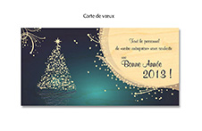 Carte de voeux en bois format long 20x10cm