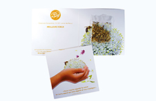 Carte de voeux sachet de graines fleurs