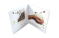 Carte de voeux sachet graines fleurs